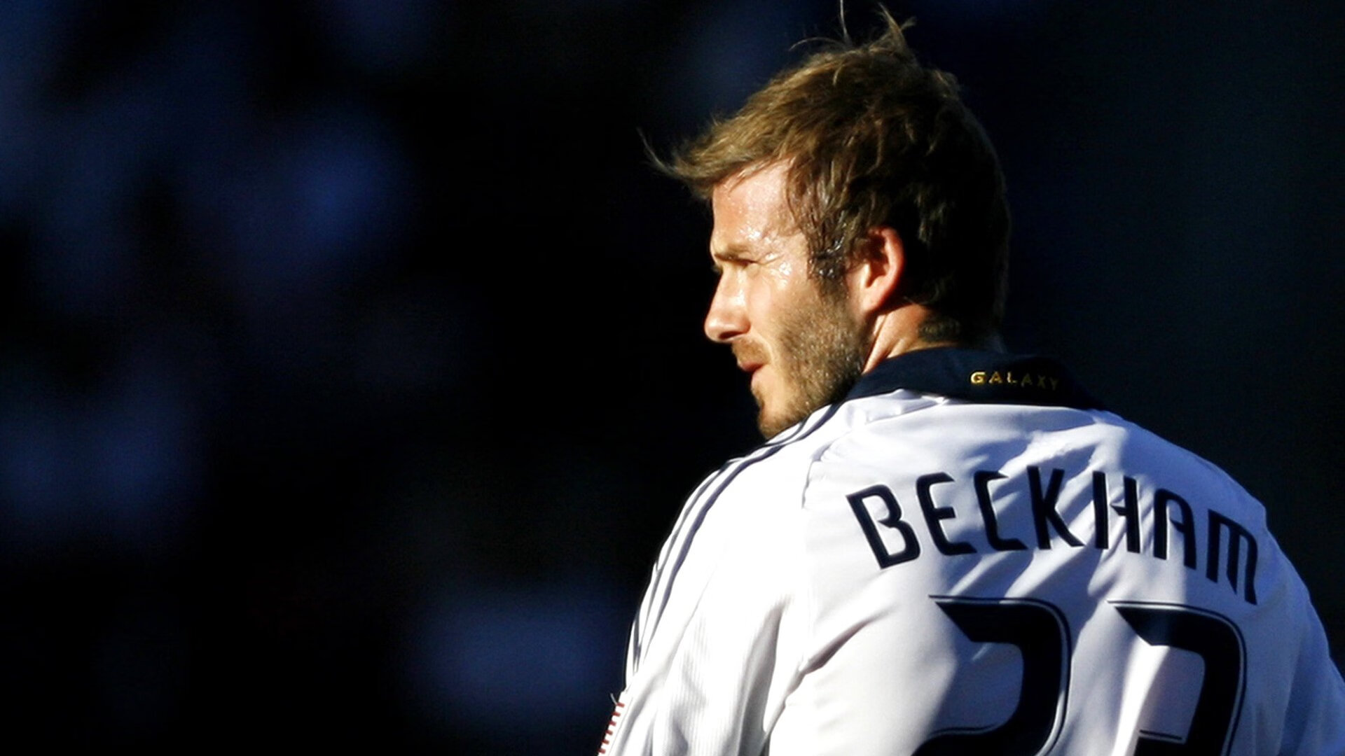 数字化青训“全流程”平台在行业内全面推广,行业效率显著提升